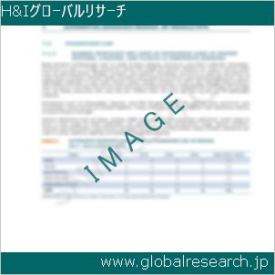 グローバルリサーチ調査レポートのイメージ